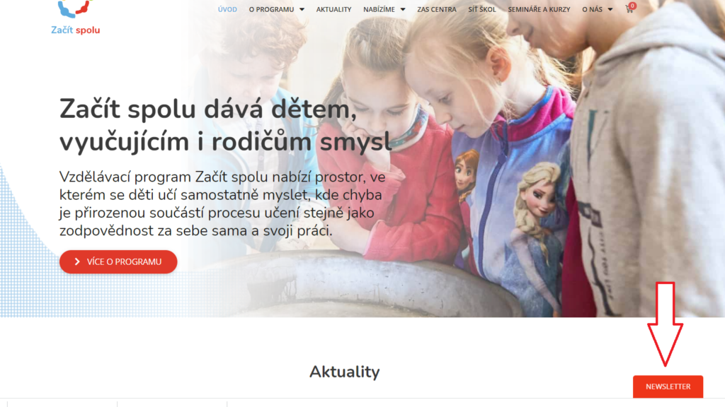 Newslettery na webu